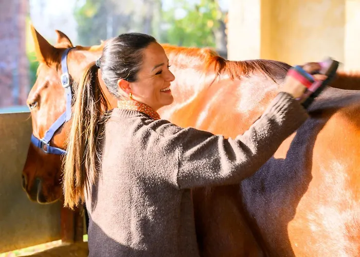 Cal Robusto Turisme Equeestre